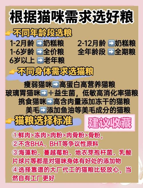 怎么给猫咪搭配食物?