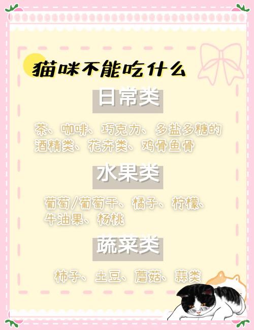 猫咪不吃不喝怎么补充营养