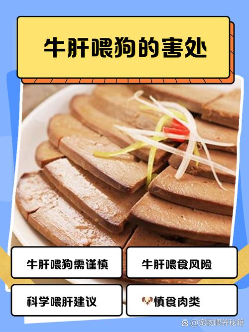 狗狗吃牛肝的好处