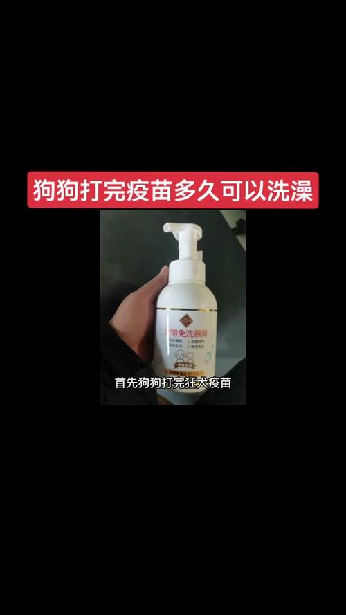 宠物狗打完疫苗第二天洗澡了,不会有事吧