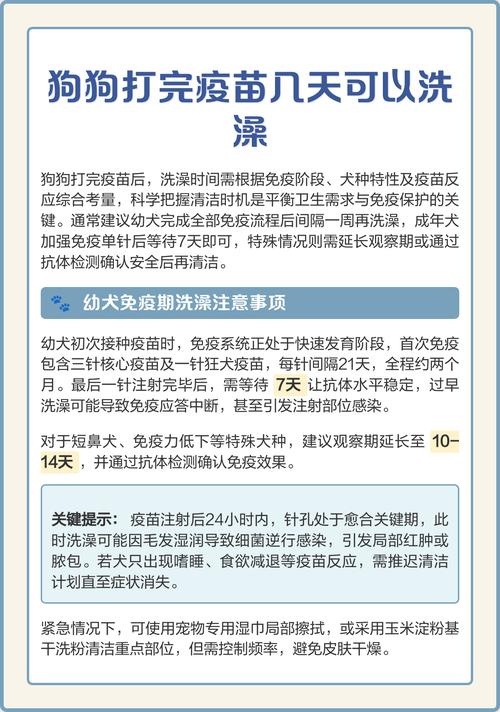 狗狗打完第三针疫苗不到一星期一不小心洗了澡怎么办?
