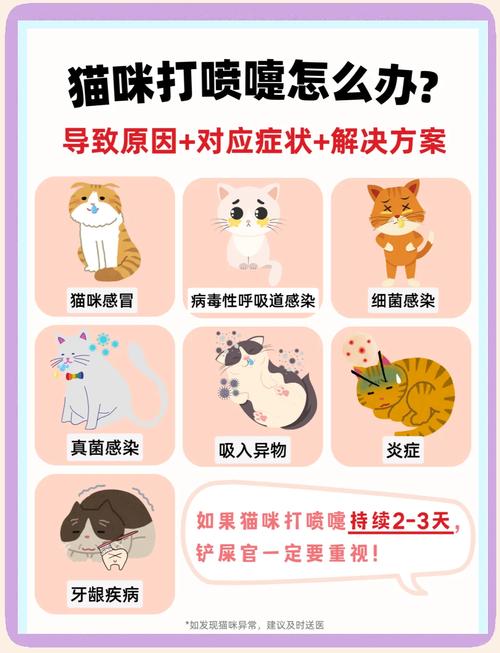 猫咪用鼻子使劲喷气是怎么回事?