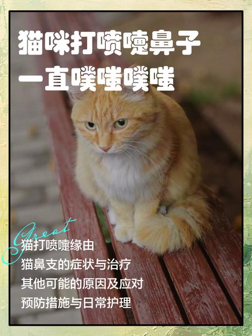 猫咪发出噗噗的喷气声?