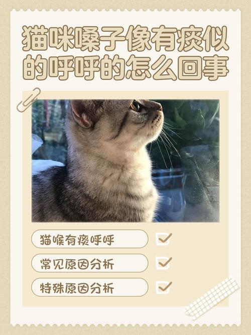 猫咪鼻子发出喷气声