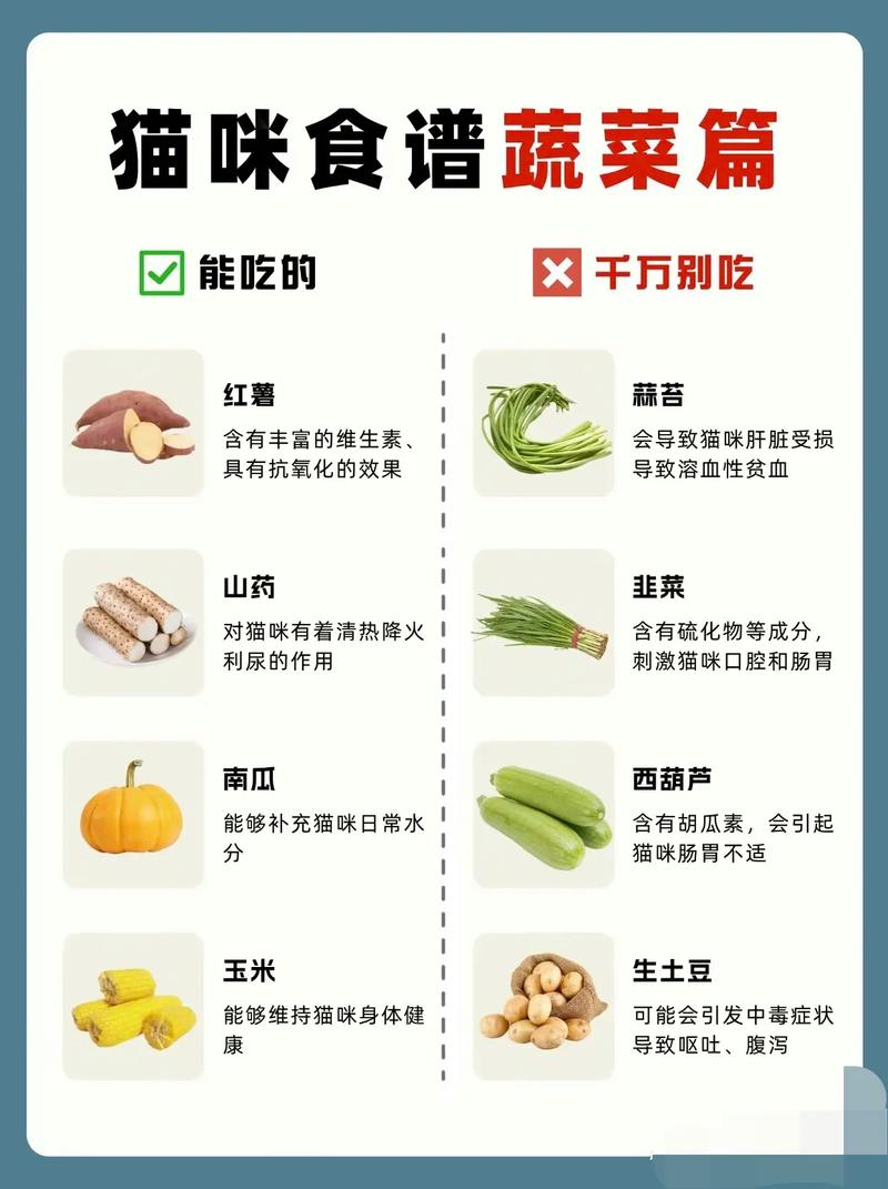 三个月的猫咪可以吃哪些蔬菜?