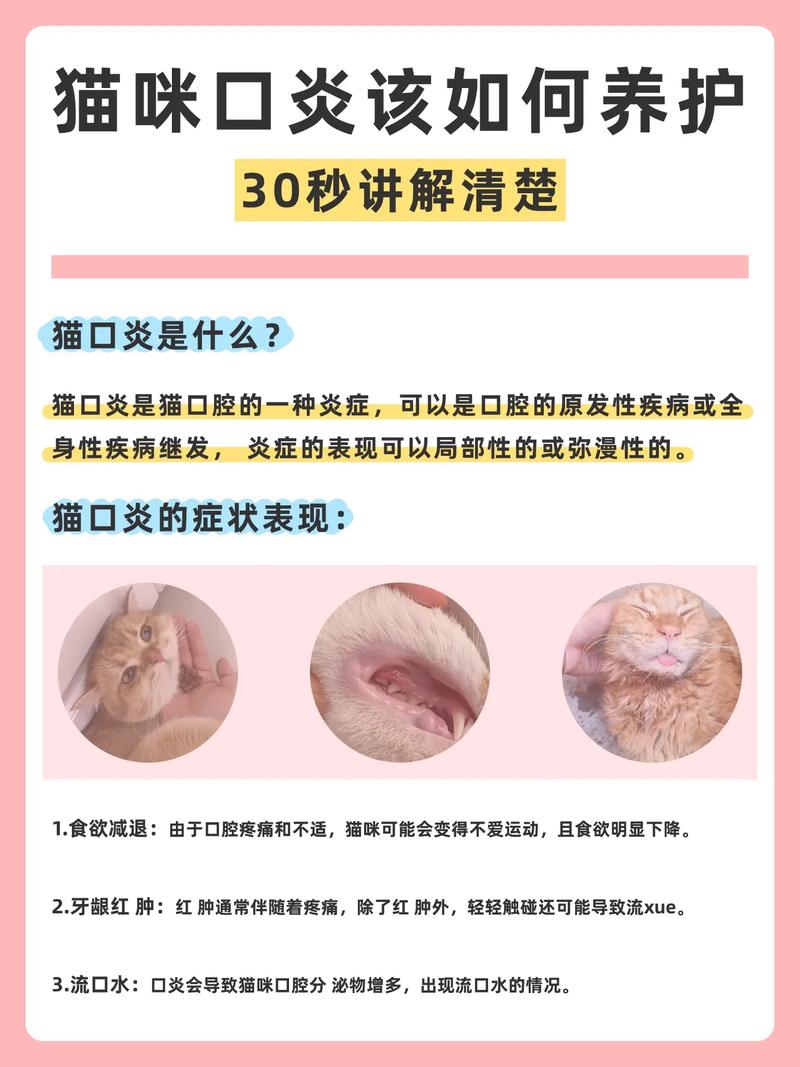 猫口炎多久能好