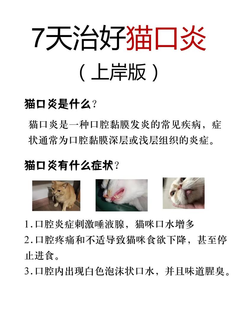 猫咪口炎拔牙后多久能好