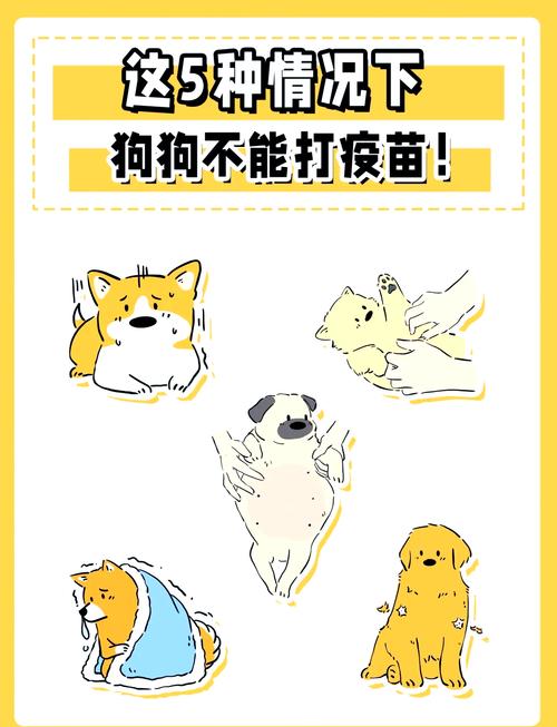 养宠物狗不打疫苗可以吗