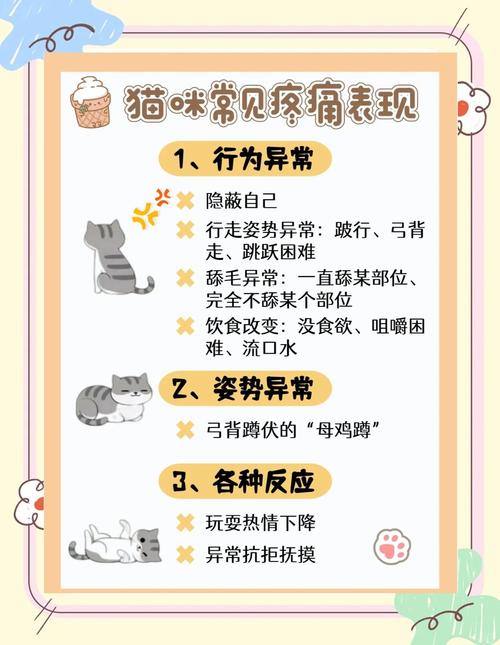 猫咪肚子疼的表现有哪些