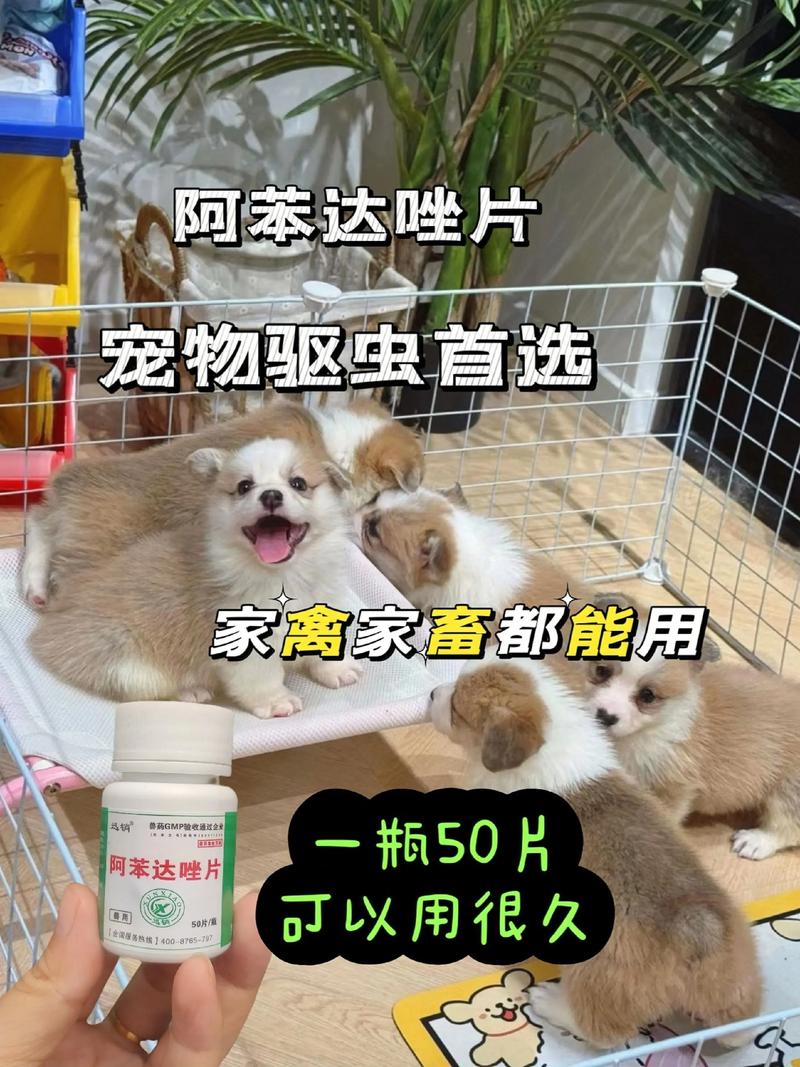 喂狗狗吃人吃的驱虫药可以吗