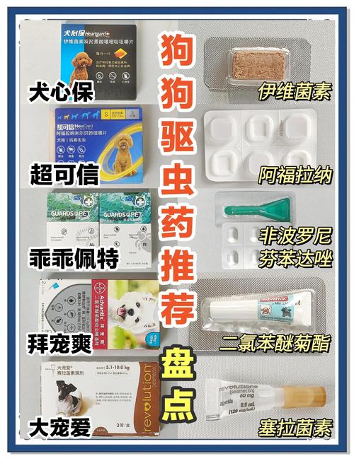 狗狗能吃人的驱虫药吗