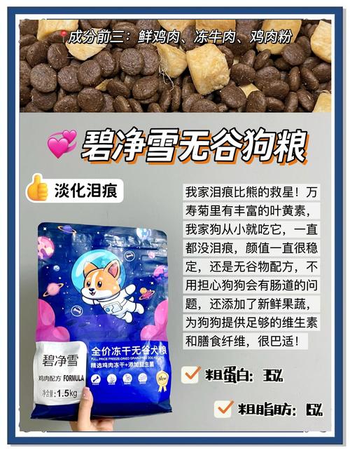 泰迪可以吃什么