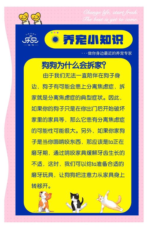 阿拉斯加多大不拆家