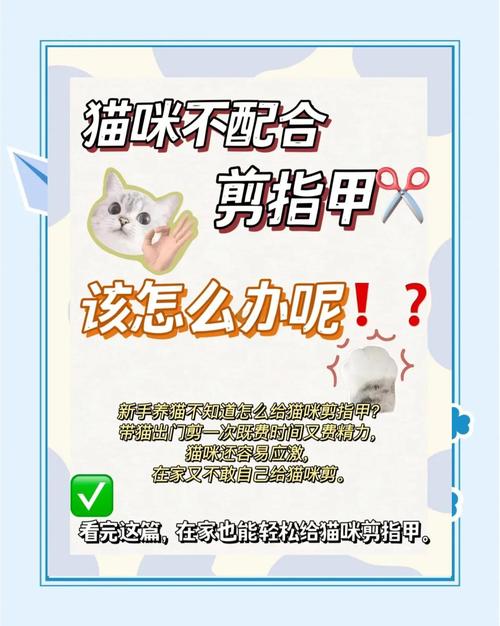 猫咪不让剪指甲很凶怎么办