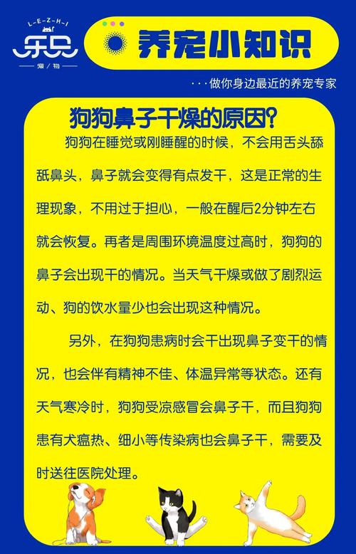 狗的鼻子干的时候会发生什么事
