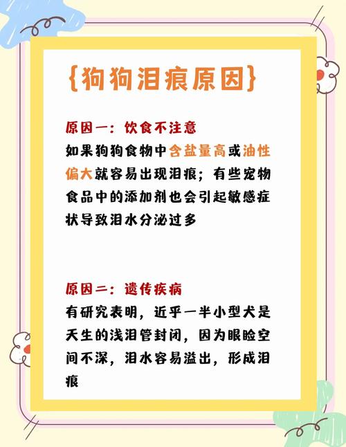 狗为什么会有泪痕