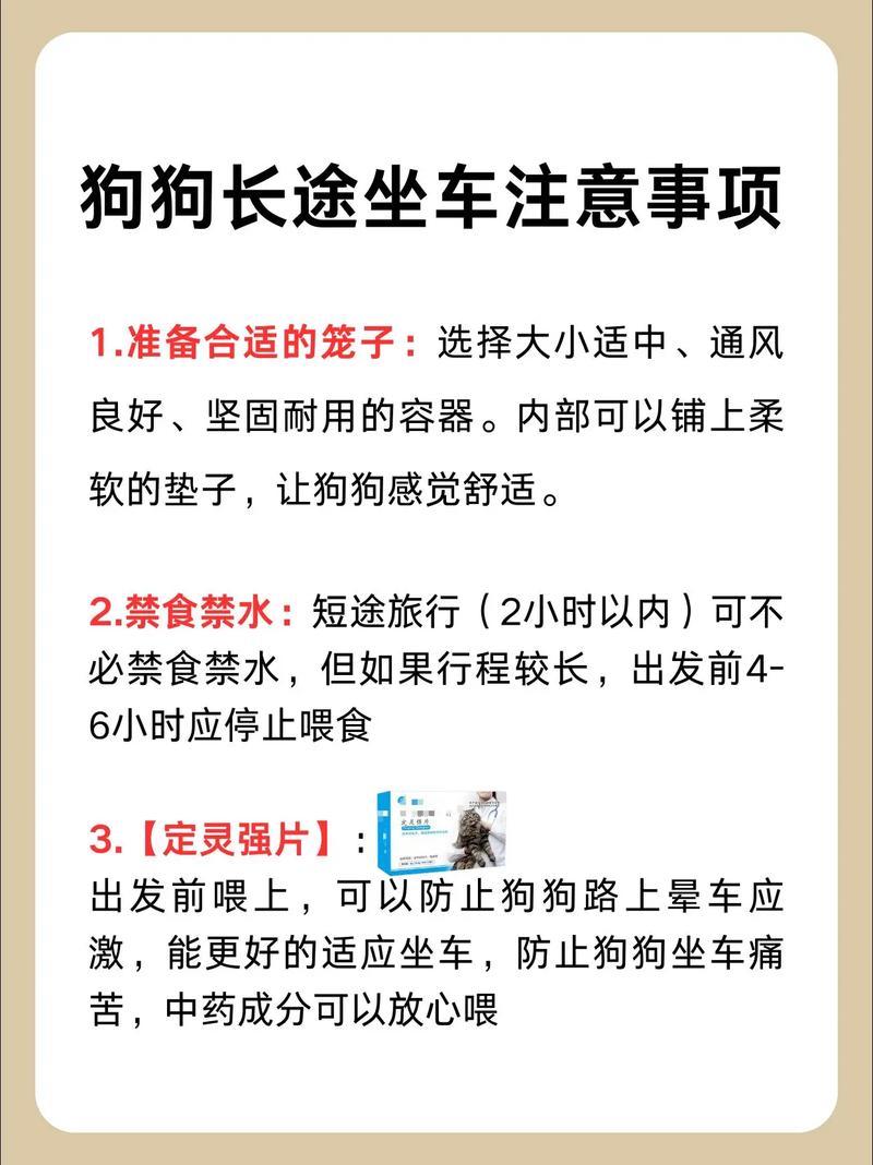 狗狗能坐大巴吗