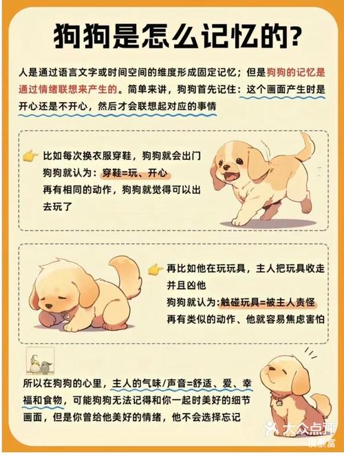 狗狗多久会忘记主人