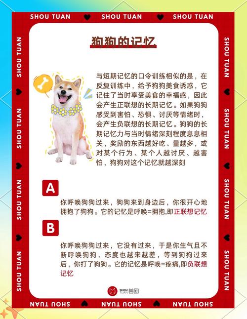 狗狗对主人的记忆有多久?