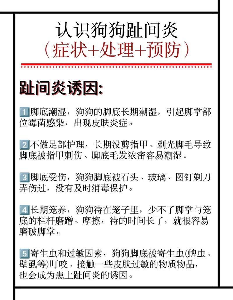 狗狗脚趾红肿怎么回事