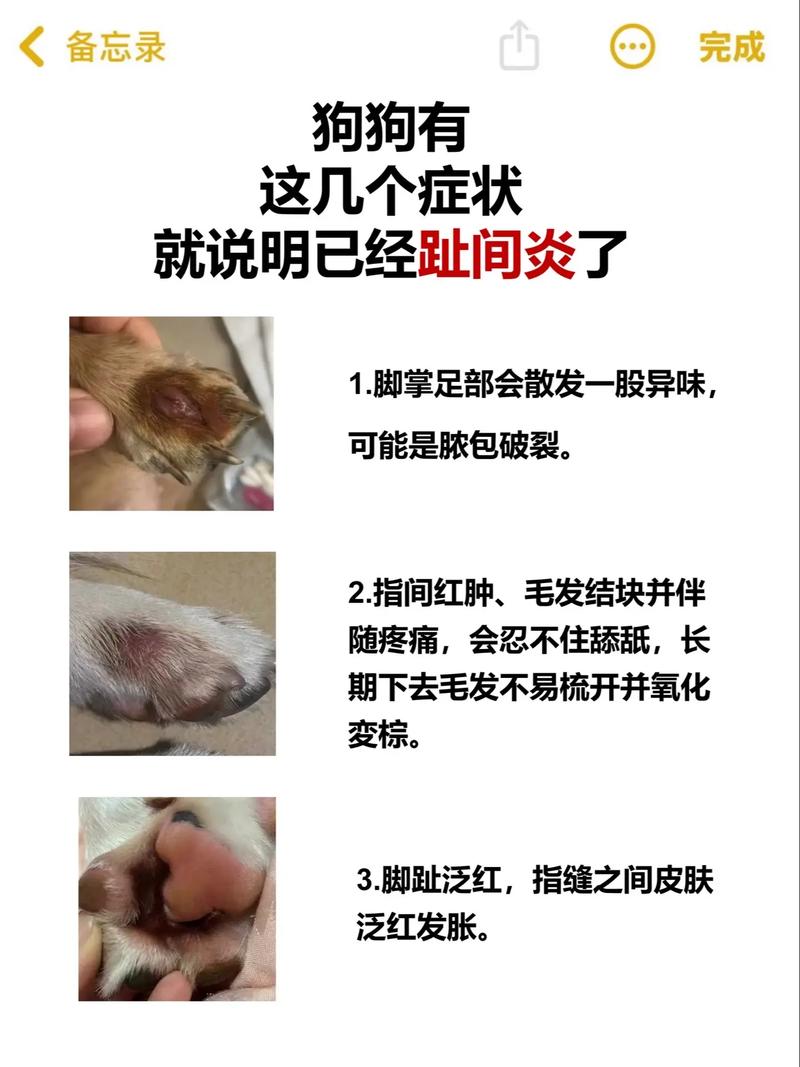 小狗脚底下红肿怎么办