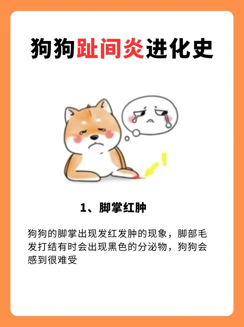 狗狗脚肿了怎么回事