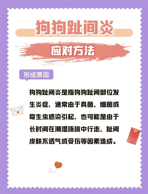 狗狗脚趾肿了是怎么回事