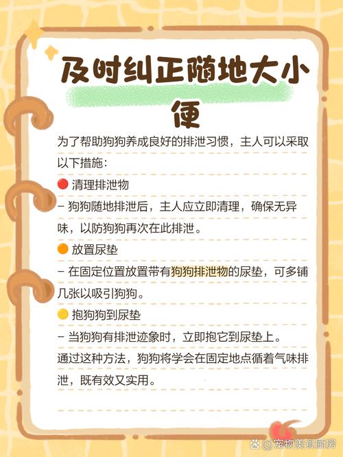 怎么训练狗狗不在家里大小便