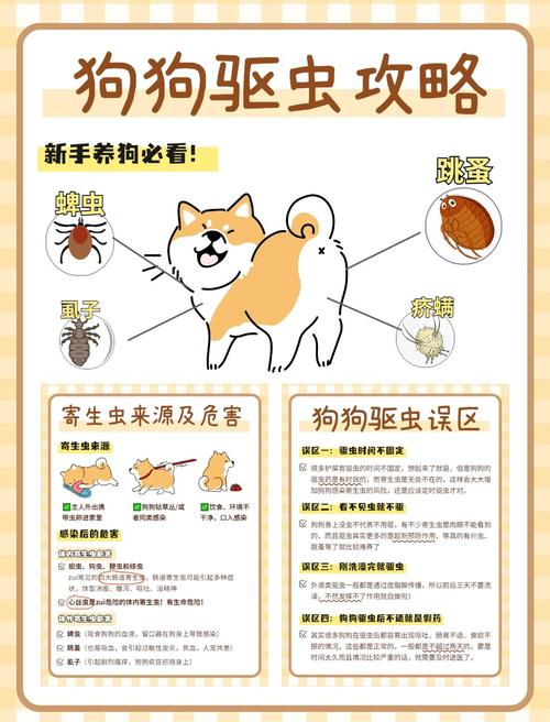 小狗多大开始驱虫