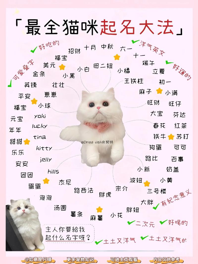 猫名字可爱的