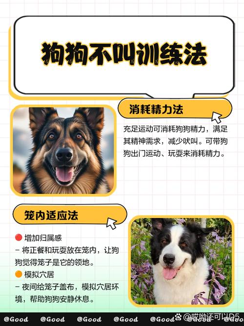 怎么训练狗不乱叫