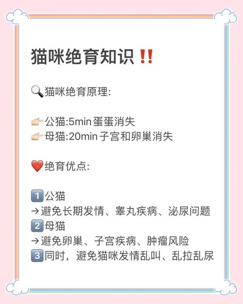 猫做绝育的好处与坏处