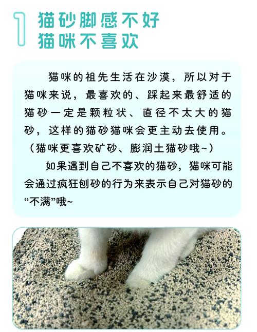 猫不停的刨猫砂还总叫是怎么回事