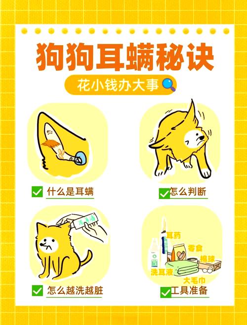 狗狗耳螨了怎么办