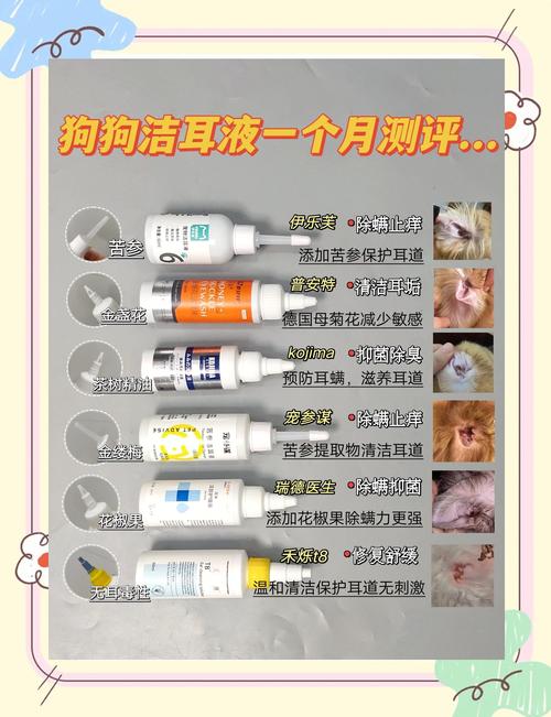 狗狗长耳螨了却不让我给它清理,怎么办