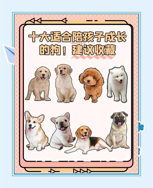 在家里养什么狗好