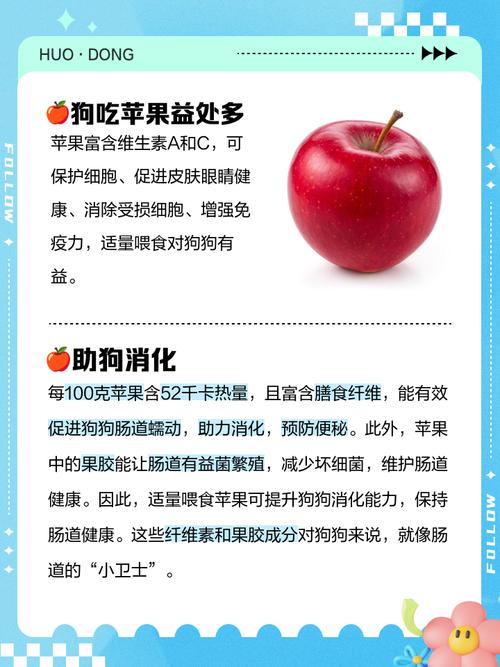 可以给狗狗吃苹果