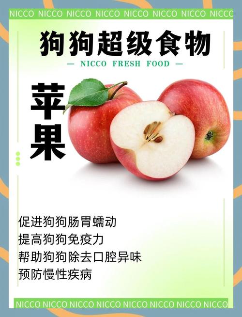 为什么狗狗吃苹果会吐