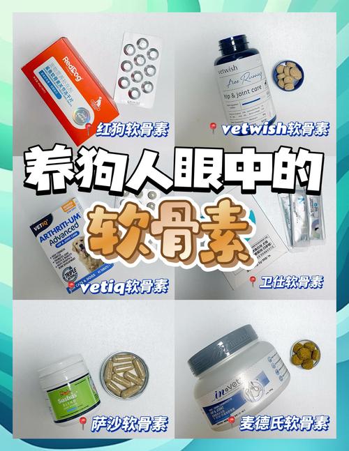狗狗得了软骨病该怎么办