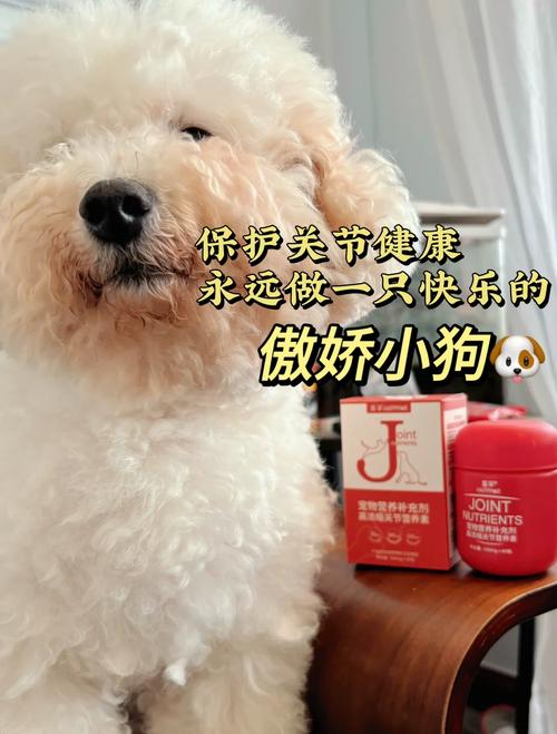 狗狗软骨病怎么治疗