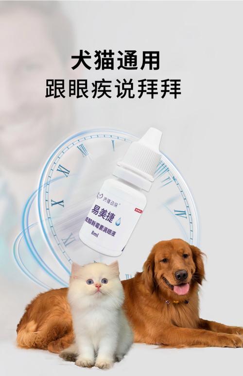 人用的眼药水狗狗可以用吗?