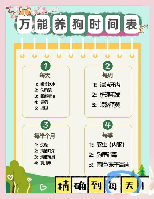 上班族怎么养狗一天有11个小时不在家?