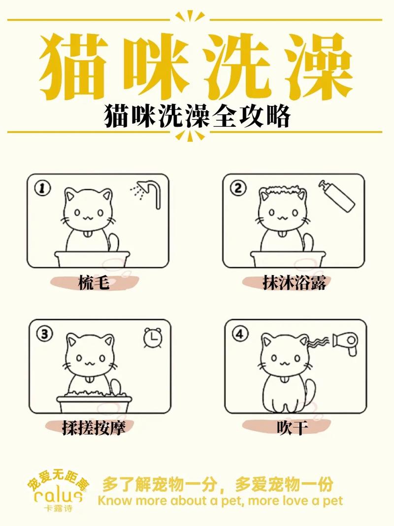 给猫多久洗一次澡好