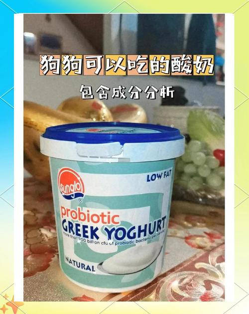 狗狗可以喝安慕希原味酸奶吗?
