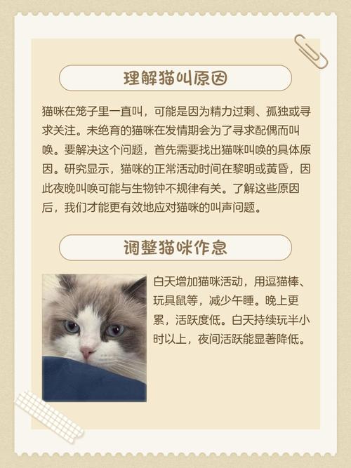 如何让猫咪不叫