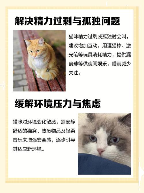 两个月的猫咪怎么让他不叫
