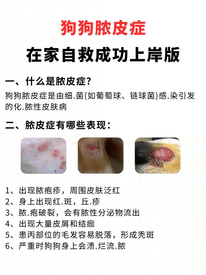 狗狗脓皮症能自愈吗