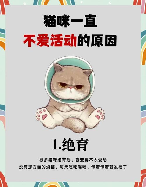 猫咪总是想睡觉怎么回事