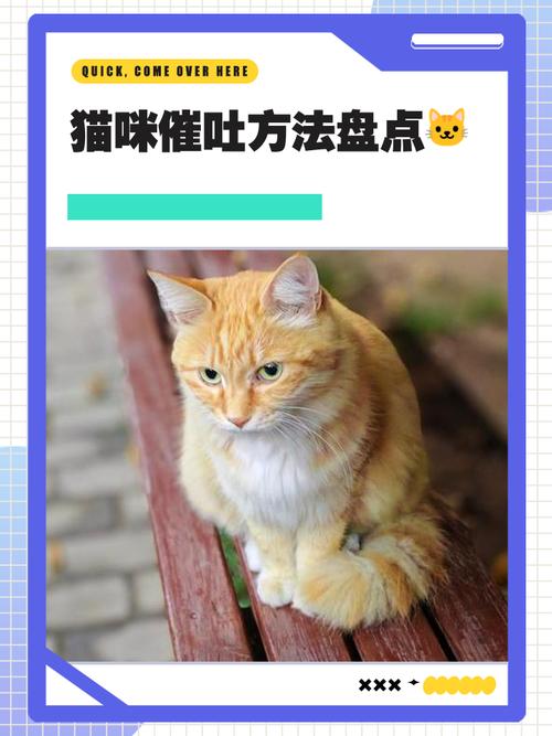 如何给猫紧急催吐