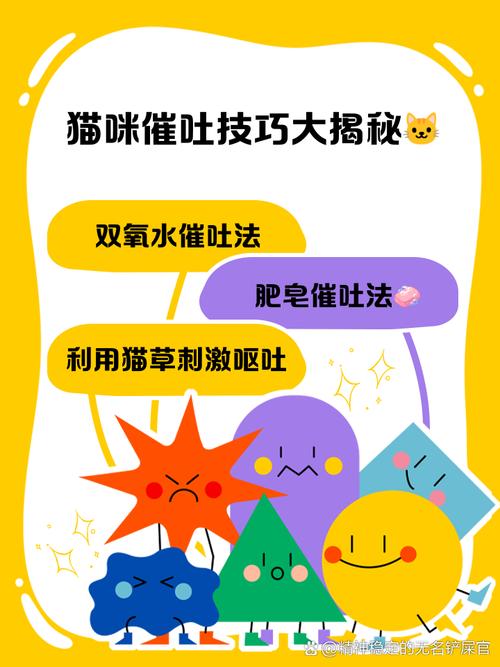 猫咪偷喝了很多奶茶该怎么帮它催吐?